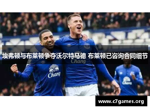 埃弗顿与布莱顿争夺沃尔特马德 布莱顿已咨询合同细节
