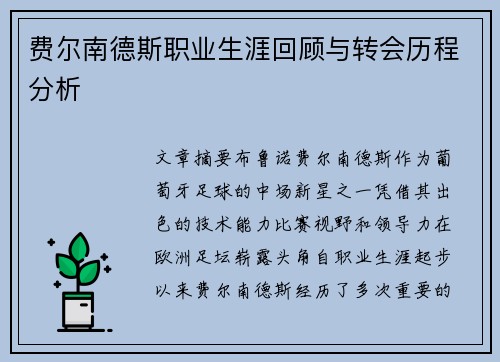 费尔南德斯职业生涯回顾与转会历程分析
